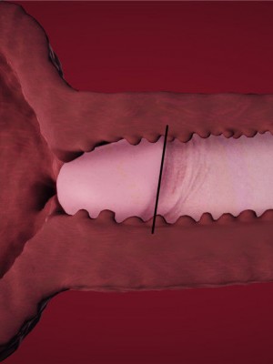 [peachpulsar (みら)] 夢色のレプリカ【中】愛欲の幻影｜Dream-Colored Replica - Part 2_ Phantasmagoria of Desire (x3200) [Irodori Comics] [無修正]_072