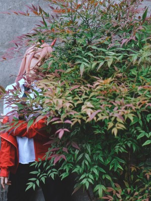 Ely - 帕瓦電子檔 [28P]_14