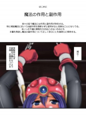[東京友達公園 (セキグチヒロキ)] 人間に作用する魔法効果の書＋失敗しない被験体の捕獲方法 (ドラゴンクエスト) [DL版]_02
