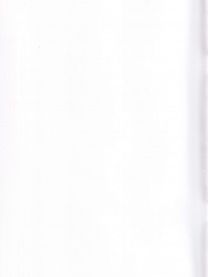 [LilyLilyRose (みぶなつき)] ブルムラX (アイドルマスターシンデレラガールズ)_23