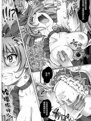 (C81)[サイクロン] T-05 SUISUI 2 (Suite PreCure) [天鹅之恋]_016