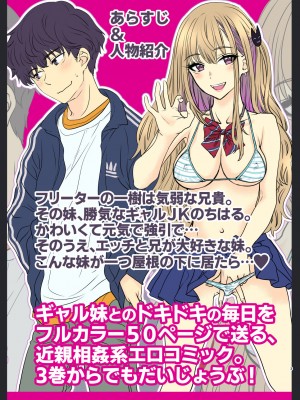 [少女月蝕 (嶋尾和)] つよかわ妹×強制らぶ交尾3 [Since繚亂個人機翻] [DL版]_03