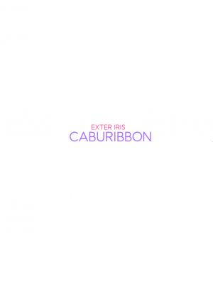 [caburibbon (caburi)] エクスター・アイリス 催眠怪人に敗れる [白杨汉化组] [DL版]_39