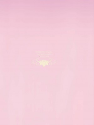 [无毒汉化组] (COMIC1☆11) [434 Not Found (isya)] Rule of Zero Part5:Urge #Zero_30