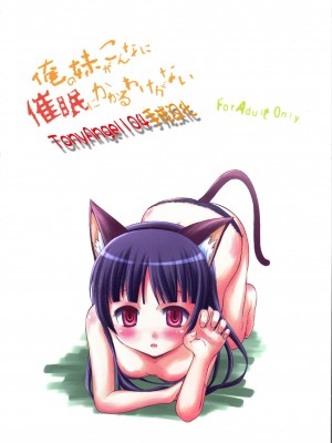 [TonyAngel104手残汉化] (C80) [マグダラ解放同盟 (月読さじん)] 俺の妹がこんなに催眠にかかるわけがない (俺の妹がこんなに可愛いわけがない)_27