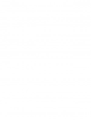 [脸肿汉化组] (C65) [イヌドリルロリータエンジン (富田林サヤカ)] MY SWEET STRAWBERRY (サモンナイト3)_02