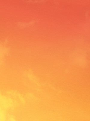 [からすのす (玉子雑炊、かめたろう)] 爆乳教え子を生ハメ指導！！ 〜SEXインストラクターとしてクラスの発情娘たちに種付け教育〜_569