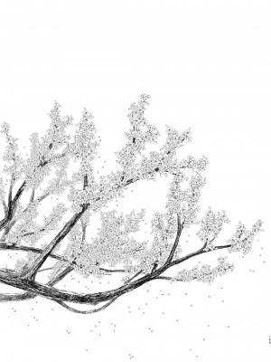 (C101)[ノラネコノタマ (雪野みなと)] 光の君のさがなき計画 ＜総集編＞_169