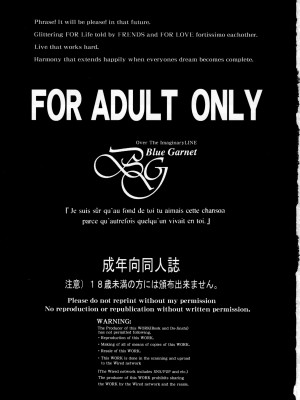 (C101) [BLUE GARNET (芹沢克己)] その星は汚されて２ (美少女戦士セーラームーン) [中国翻訳]_02