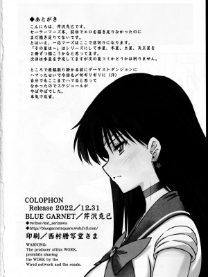 (C101) [BLUE GARNET (芹沢克己)] その星は汚されて２ (美少女戦士セーラームーン) [中国翻訳]_17