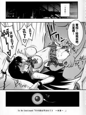 (C101) [BLUE GARNET (芹沢克己)] その星は汚されて２ (美少女戦士セーラームーン) [中国翻訳]_16