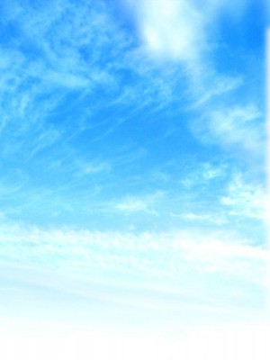 [ぽるちーに] エルフの限界集落を絶倫チンポで救う種付け孕ませハーレム [中国翻訳]_418