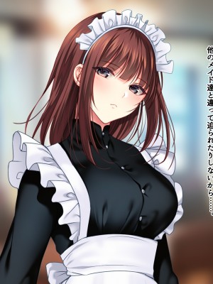 [南浜屋 (南浜よりこ)] 非モテでもメイドを孕ませたい!_119_10_07