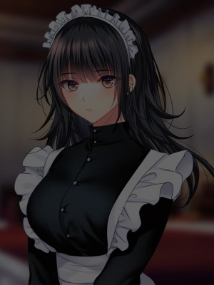 [南浜屋 (南浜よりこ)] 非モテでもメイドを孕ませたい!_369_01_13