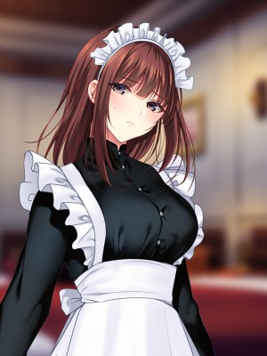 [南浜屋 (南浜よりこ)] 非モテでもメイドを孕ませたい!_446_12_02