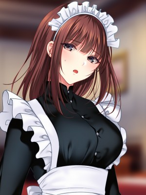 [南浜屋 (南浜よりこ)] 非モテでもメイドを孕ませたい!_447_12_03