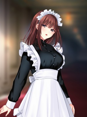 [南浜屋 (南浜よりこ)] 非モテでもメイドを孕ませたい!_656_29_05