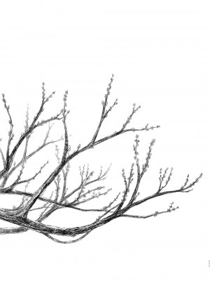 [ノラネコノタマ (雪野みなと)] 光の君のさがなき計画 ＜総集編＞ [無修正] [DL版]_110