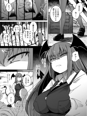 [自家発電処 (flanvia)] 穴とむっつりどすけべだいとしょかん 5 (東方Project) [DL版]_13