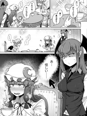 [自家発電処 (flanvia)] 穴とむっつりどすけべだいとしょかん 5 (東方Project) [DL版]_03