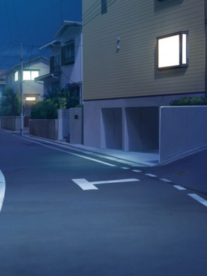 [殿様ペンギン]&nbsp;&nbsp;19才の未亡人は満たされたい…_293