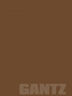 [奧浩哉] GANTZ 殺戮都市 第9部 大阪編_0925