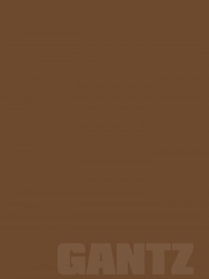 [奧浩哉] GANTZ 殺戮都市 第9部 大阪編_0395