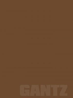 [奧浩哉] GANTZ 殺戮都市 第9部 大阪編_0321