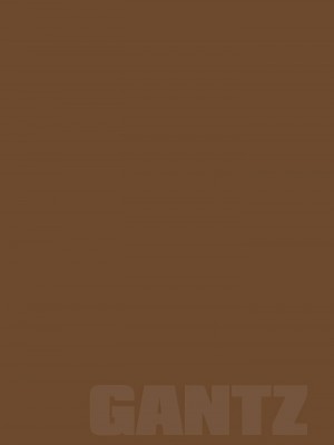 [奧浩哉] GANTZ 殺戮都市 第9部 大阪編_0746