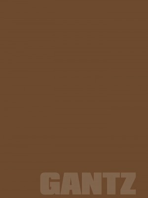 [奧浩哉] GANTZ 殺戮都市 第9部 大阪編_0973