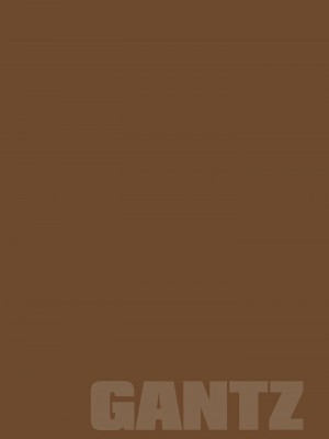 [奧浩哉] GANTZ 殺戮都市 第9部 大阪編_0876