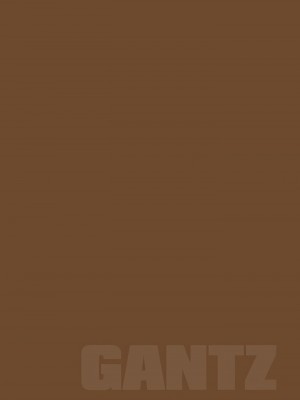 [奧浩哉] GANTZ 殺戮都市 第9部 大阪編_0347