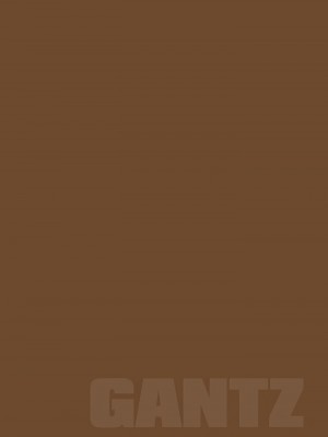 [奧浩哉] GANTZ 殺戮都市 第9部 大阪編_0371