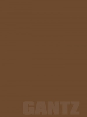 [奧浩哉] GANTZ 殺戮都市 第9部 大阪編_0795