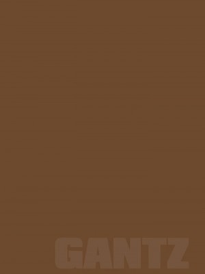 [奧浩哉] GANTZ 殺戮都市 第9部 大阪編_0699