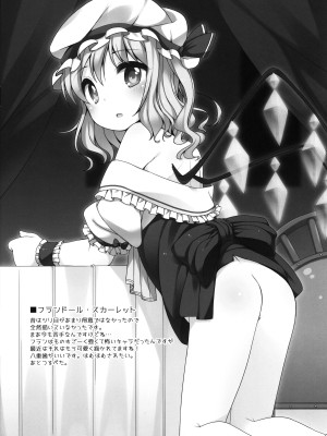 (例大祭20) [kuma-puro (小路あゆむ)] 東方まとめた本 (東方Project)_09