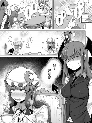 [自家発電処 (flanvia)] 穴とむっつりどすけべだいとしょかん 5 (東方Project) [小狐狸委托汉化] [DL版]_03