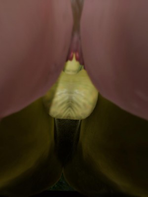 [uuG] 天命 前傳 1-7_0460