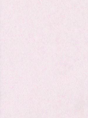 (C81) [くまたんFlash! (はなぉ)] スケープゴート Act：2 (東方Project) [白上フブキ.eth×CastillonMcCloy]_02