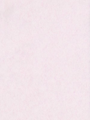 (C81) [くまたんFlash! (はなぉ)] スケープゴート Act：2 (東方Project) [白上フブキ.eth×CastillonMcCloy]_43