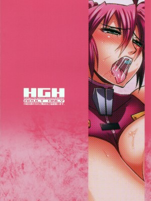 (C82) [HGH (HG茶川)] HGUC#02：戦士は白濁に咽び啼く (魔法少女リリカルなのは) [中字]_02