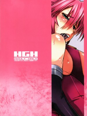 (C83) [HGH (HG茶川)] HGUC#03：戦士の肉襞は淫らに拡がる (魔法少女リリカルなのは) [中字]_02