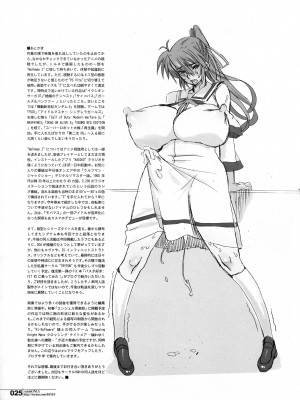 (C83) [HGH (HG茶川)] HGUC#03：戦士の肉襞は淫らに拡がる (魔法少女リリカルなのは) [中字]_25