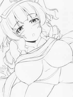 (例大祭20) [有言実行 (ゴンざぶろー)] ふわふわにとりはHなことをことわらない (東方Project)_02