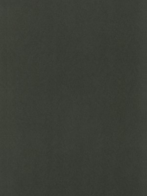 (秋季例大祭6) [somnia (Hajin)] 私だけの (東方Project) [大受气包烤RO组汉化]_06