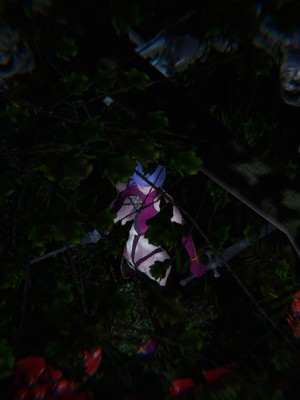 蝴蝶之殇S5-08_010