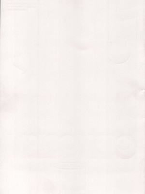 (C101) [みいむい (カンザリン)] OYAKORISM_02