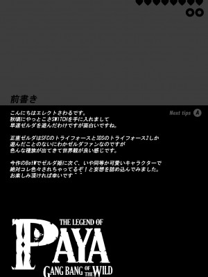 [ERECT TOUCH (エレクトさわる)] THE LEGEND OF PAYA GANG BANG OF THE WILD (ゼルダの伝説 ブレス オブ ザ ワイルド) [DL版]_03