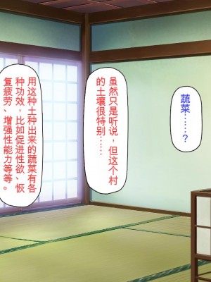 [ミミズサウザンド] 廃れた田舎の村はどんな時でも種付けOKの天国な場所でした[中国翻訳]_287