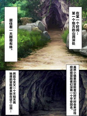 [とりのおいしいところ (鳥三)] ゴブリンズ・スレイブ ～隷属洗脳でゴブリンの下僕に堕ちるメス冒険者たち～ [中国翻訳]_03